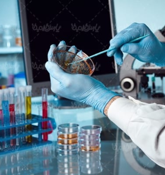 Untitled design (23)