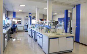 WhatsApp Image 2026-02-16 at 14.26.48